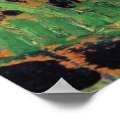 Poster Marguerites, Lys de bois et Vetch (Coin)