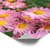 Poster Marguerites Roses Et Bumble Bee Abstrait (Coin)