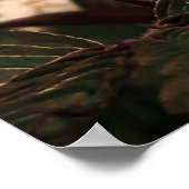 Poster Maria-fecha-a-porta -FILTRO (Coin)