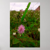Poster Maria-fecha-a-porta - VERTICAL (Devant)