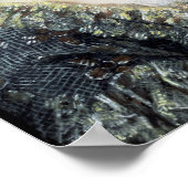 Poster Maria Theresa, impératrice d'Autriche, 1762 (Coin)