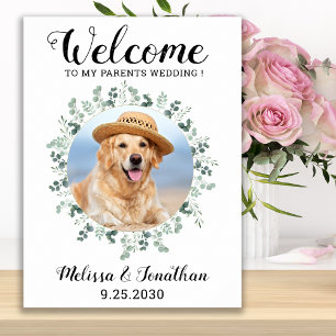 Poster Mariage animal de compagnie Bienvenue photo de chi