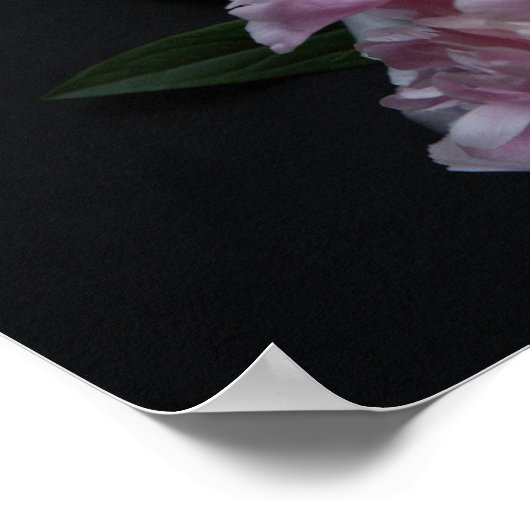 Poster mariage de quatre pivoines roses (Coin)