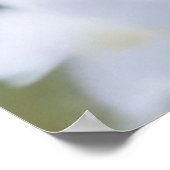 Poster Mariage moderne bleu & blanc de superposition fleu (Coin)