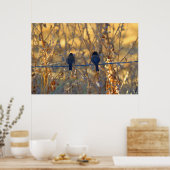 Poster Mariage romantique d'oiseaux moineaux, jusqu'à 36" (Cuisine)