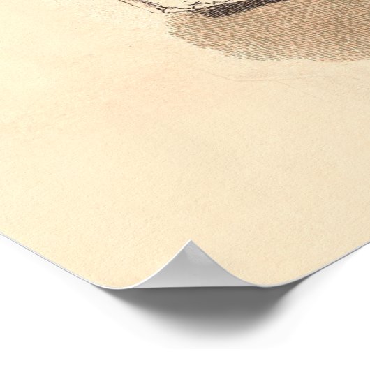 Poster Mariage victorien (Coin)