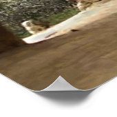 Poster Marian (Coin)