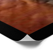 Poster Mariana Bracetti (Coin)