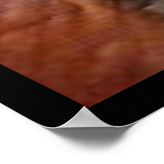 Poster Mariana Bracetti (Coin)