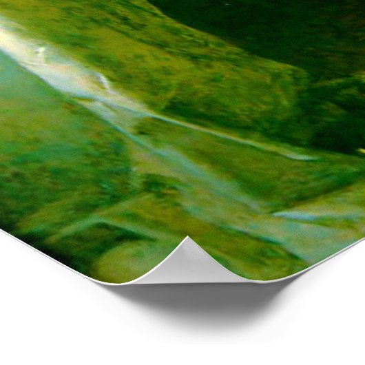 Poster Mariana Dans Le Grange Humide (Coin)