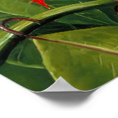 Poster Marianne Nord - Paysage exotique (Coin)