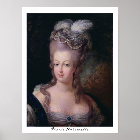 Poster Marie Antoinette (Devant)