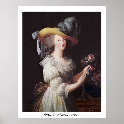 Poster Marie Antoinette (Devant)