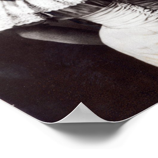 Poster Marie Lloyd (Coin)