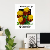 Poster Marigold (Bureau à domicile)