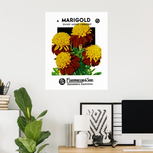 Poster Marigold (Bureau à domicile)