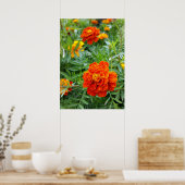 Poster marigold aux couleurs vives (Cuisine)