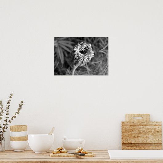 Poster Marigold Blossom (Cuisine)