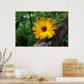 Poster marigold dans la forêt (Cuisine)