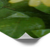 Poster Marigold jaune (Coin)