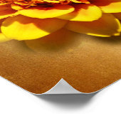 Poster Marigold Joy (Coin)