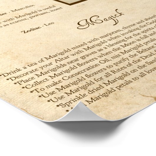 POSTER MARIGOLD MAGICK HERB (Coin)