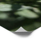 Poster marigold orange foncé (Coin)