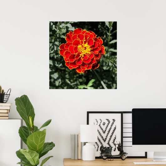 Poster marigold orange foncé (Bureau à domicile)