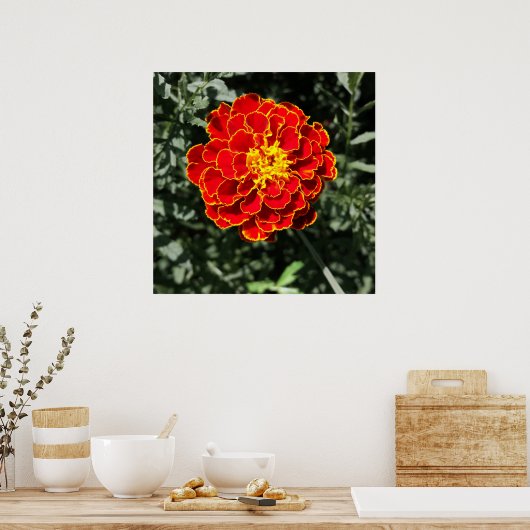 Poster marigold orange foncé (Cuisine)