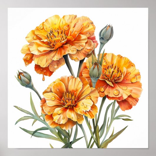 Poster Marigold Print, Orange Flowers Wall Art (Devant)