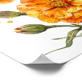 Poster Marigold Print, Orange Flowers Wall Art (Coin)