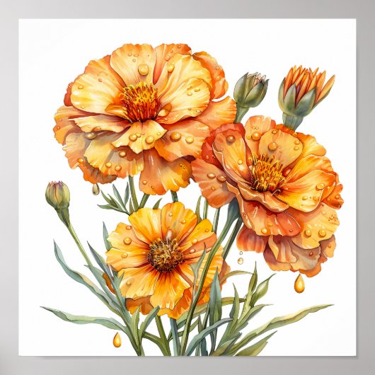 Poster Marigold Print, Orange Flowers Wall Art (Devant)