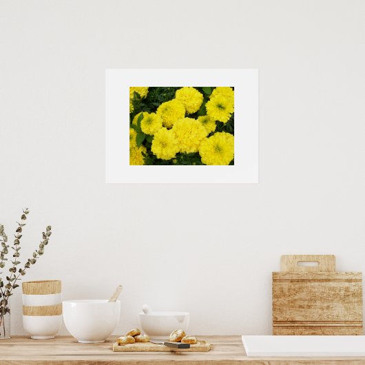 Poster Marigolds Jaune (Cuisine)