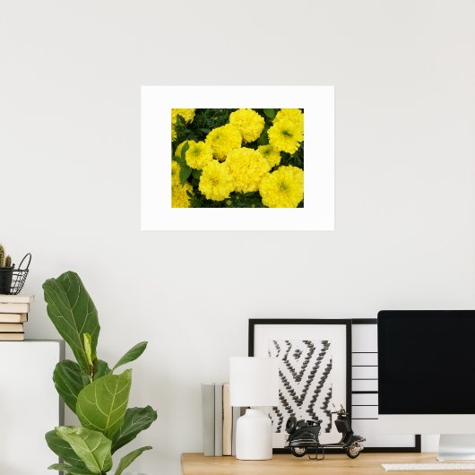 Poster Marigolds Jaune (Bureau à domicile)