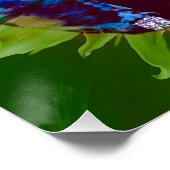 Poster Marilyn Monroe (Coin)