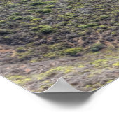 Poster Marin Headlands (Coin)