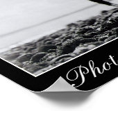 Poster Marina Elliot Bay 1 (Coin)