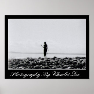 Poster Marina Elliot Bay 1