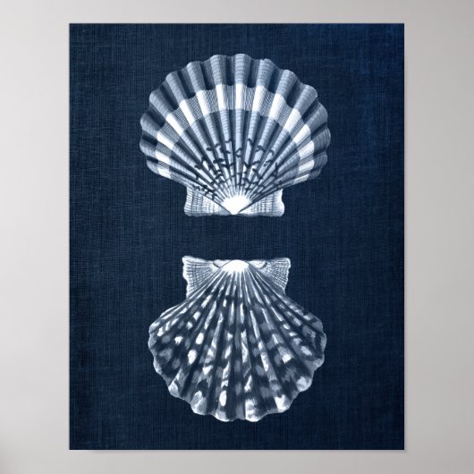 Poster Marine Blue Seashell Imprimer no 9 Décor de mur de (Devant)