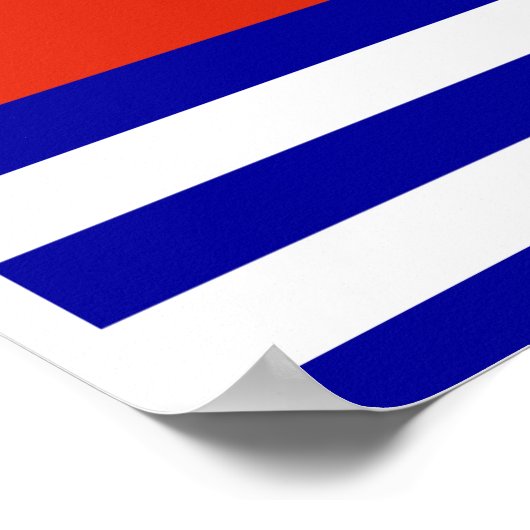 Poster Marine chinoise (Coin)