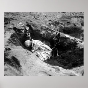 Poster Marine et son chien