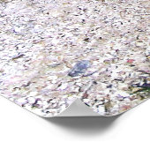 Poster Marine Iguana Pile (Coin)