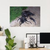Poster Marine Iguana Pile (Bureau à domicile)
