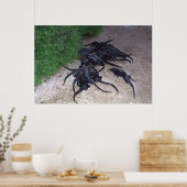 Poster Marine Iguana Pile (Cuisine)
