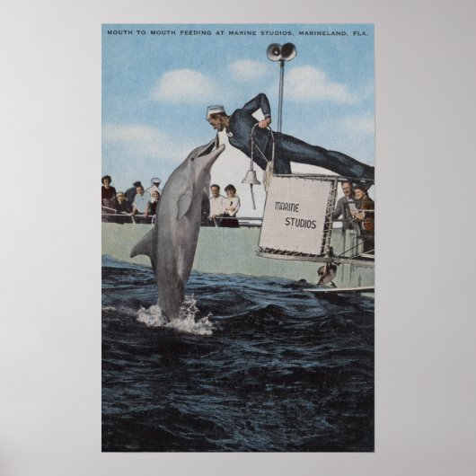 Poster Marineland, Floride - Allaitement à la voile (Devant)
