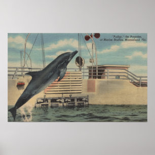 Poster Marineland, la Floride - vue de dodu