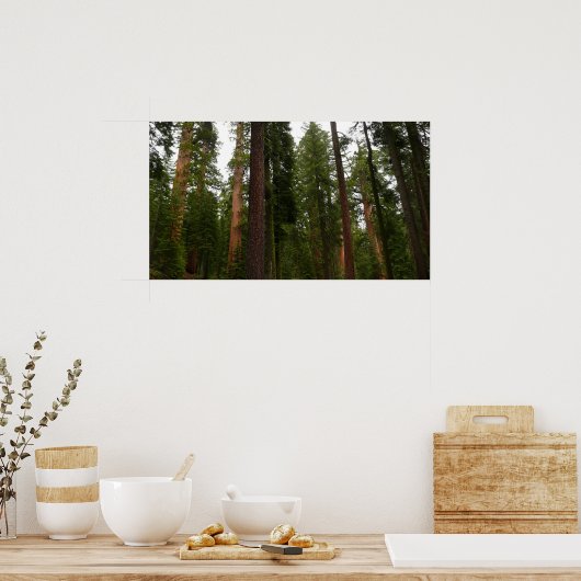 Poster Mariposa Grove dans le parc national de Yosemite (Cuisine)
