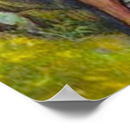 Poster Mark 8:22-26 Jésus guérit un aveugle (Coin)