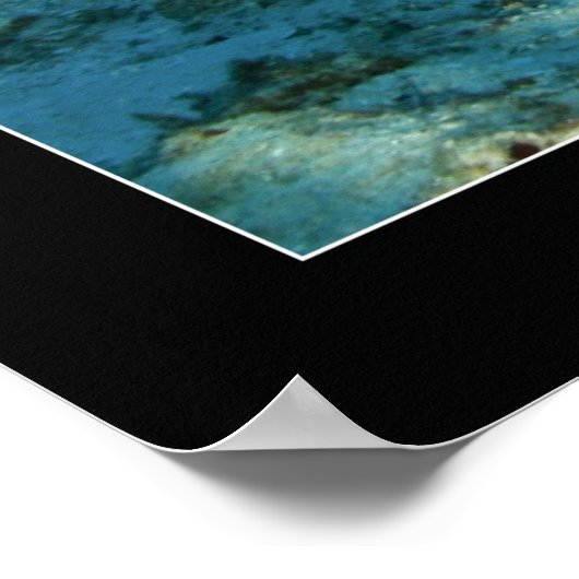 Poster Mark and the Octopus (Coin)