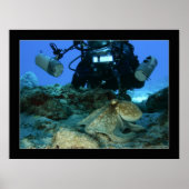 Poster Mark and the Octopus (Devant)